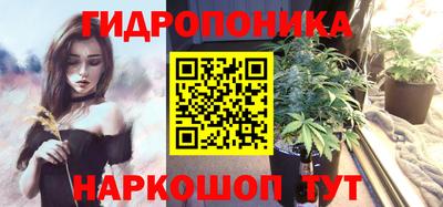 гашик Обнинск