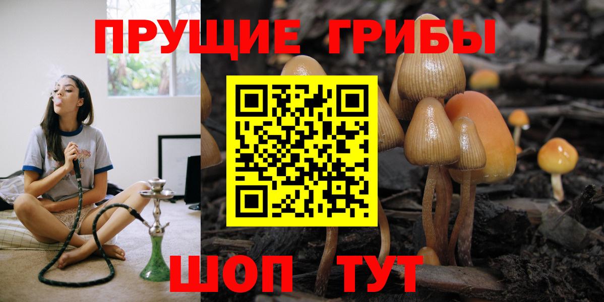 Галлюциногенные грибы Magic Shrooms  Вход с VPN  Россошь 